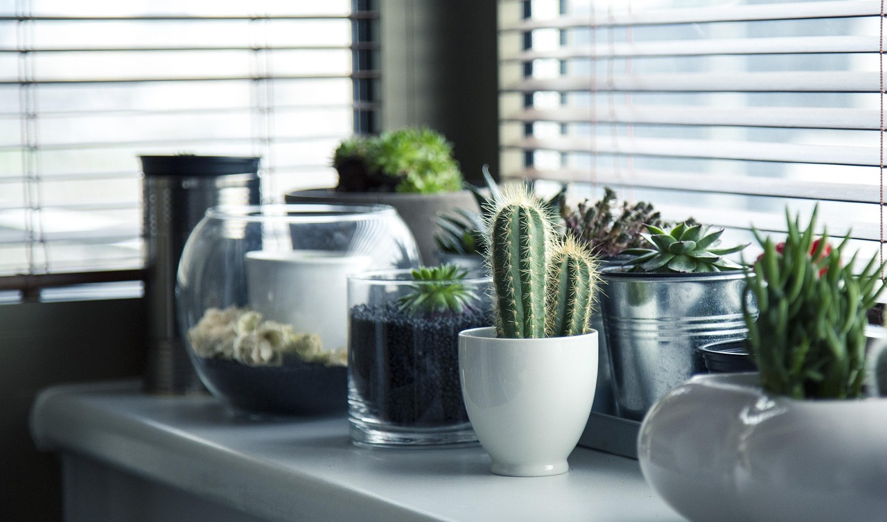 Mini-indoor garden in urban apartment<br />” title=”Mini-indoor garden in urban apartment<br />” /><figcaption>Afbeelding: milivigerova / Pixabay</figcaption></figure>
</section>
<section id=