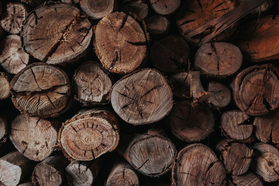 Elegant indoor firewood storage with autumn decor Elegant indoor firewood storage with autumn decor