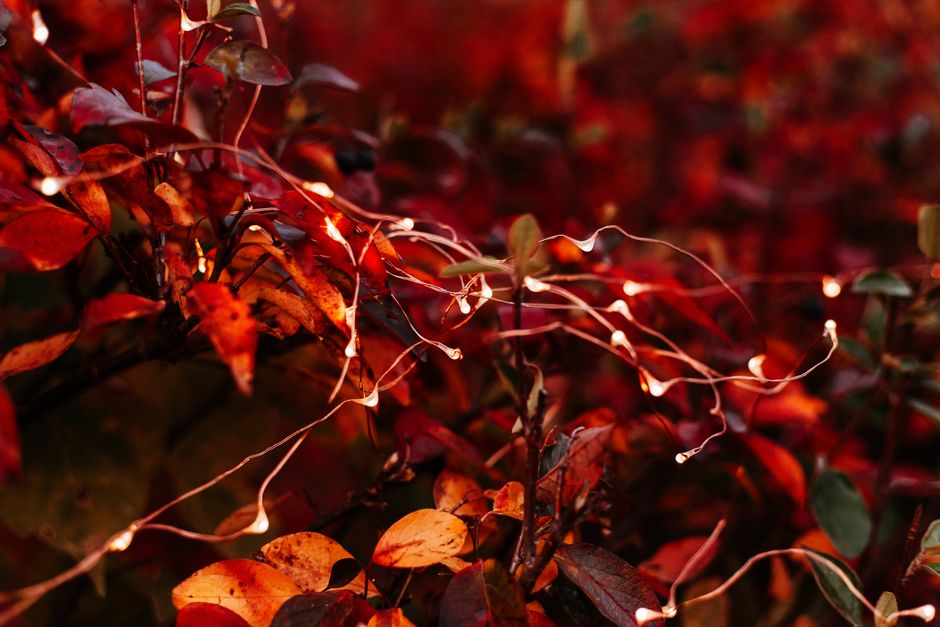 Smart LED lanterns enhance cozy autumn evenings. Smart LED lanterns enhance cozy autumn evenings.