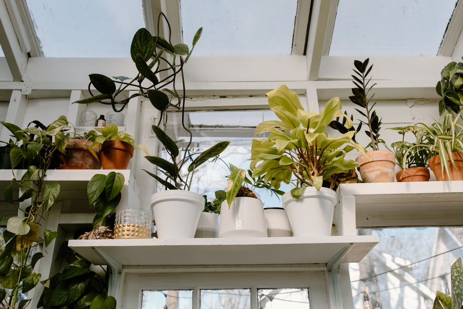 Cozy balcony winter mini-orangerie setup in city. Cozy balcony winter mini-orangerie setup in city.