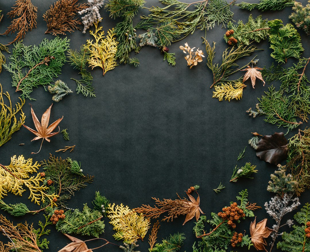 Autumn leaves surround a cozy home aquarium. Autumn leaves surround a cozy home aquarium.